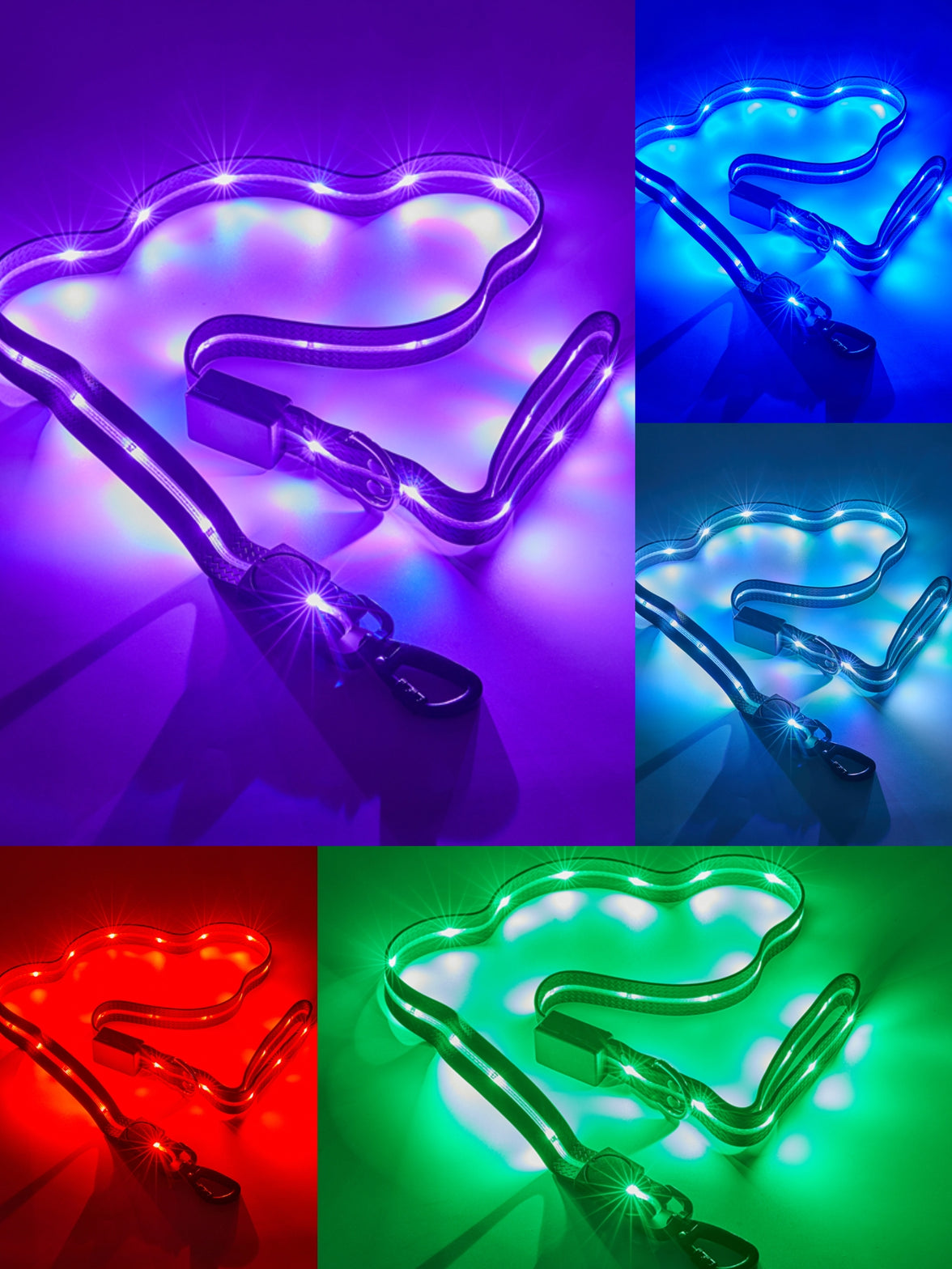 Ultra Glow LED Leash