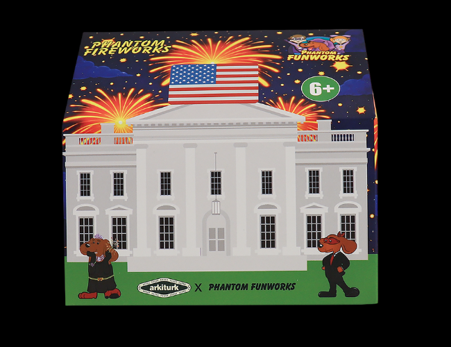 WHITE HOUSE BLIND BOX