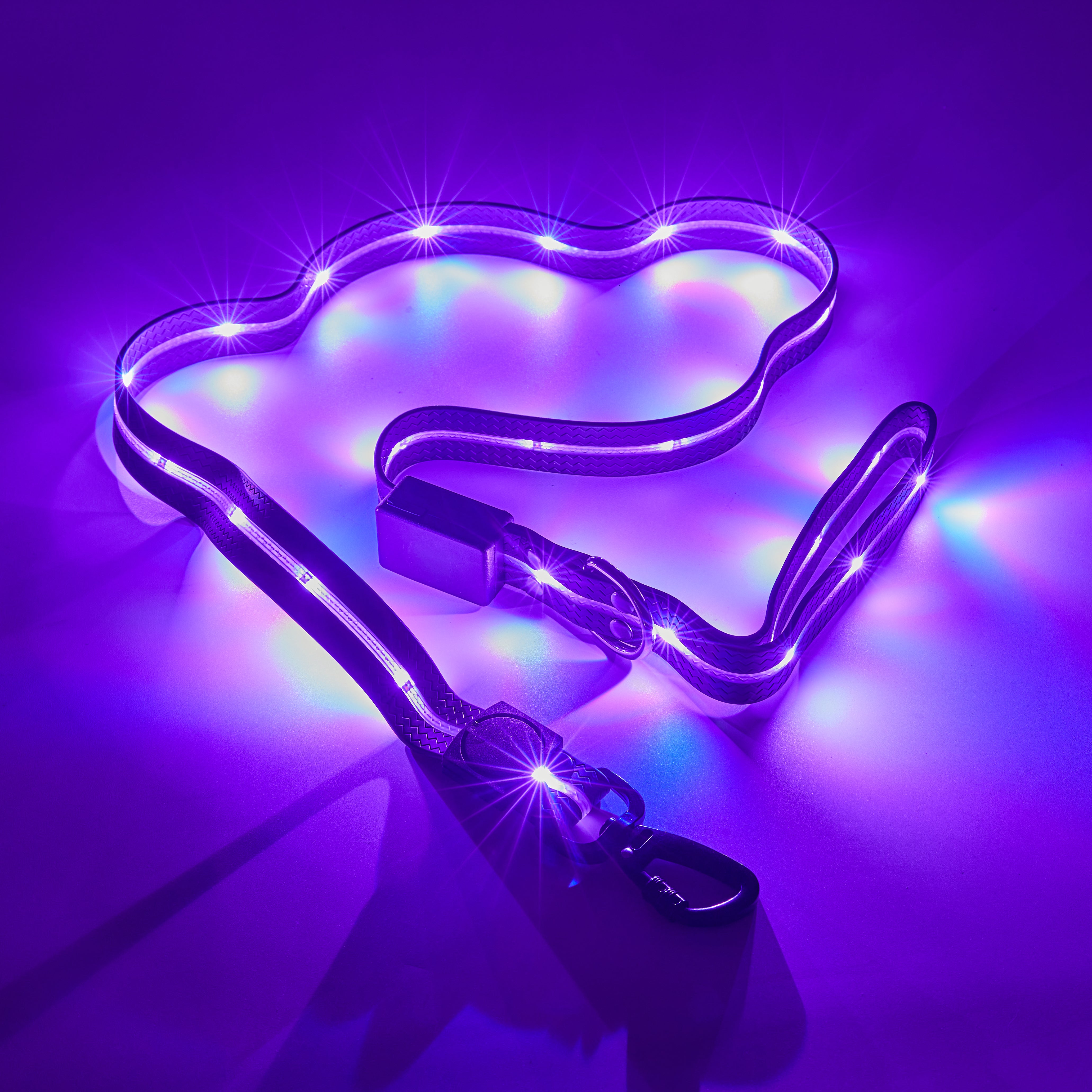 Ultra Glow LED Leash