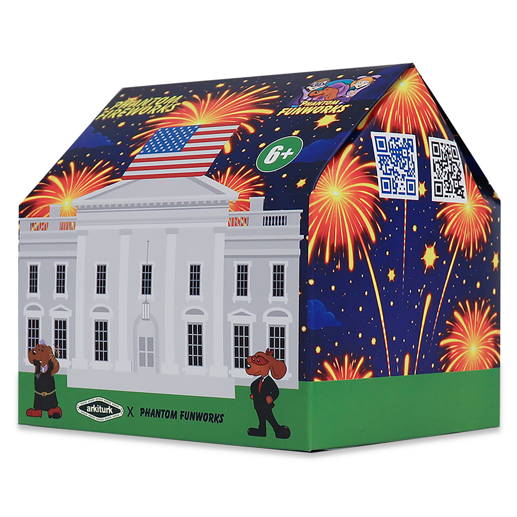 WHITE HOUSE BLIND BOX