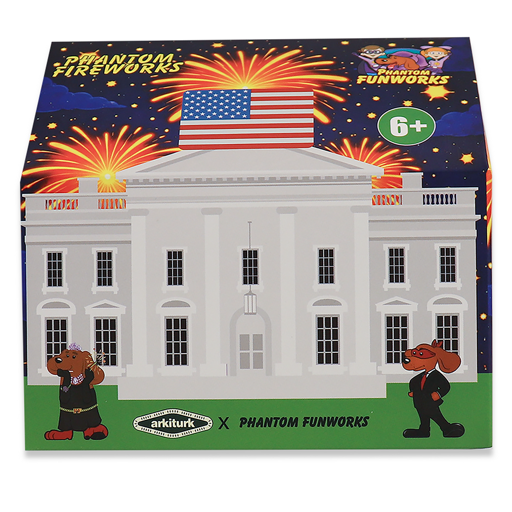 WHITE HOUSE BLIND BOX