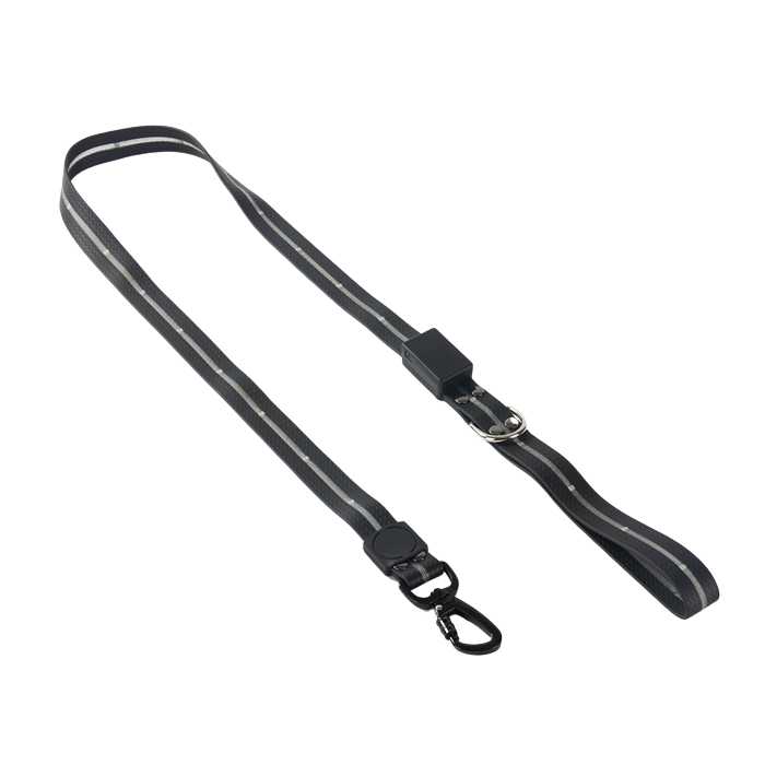 Ultra Glow LED Leash